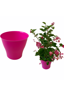 Kaspó pink
